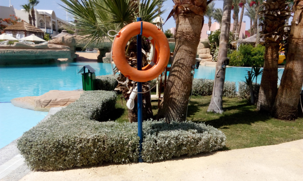 Schwimmbad mit einem Schwimmring in der Mitte, umgeben von grünem Gras, Pflanzen, Bäumen, Gebäuden, Sonnenschirmen und einem klaren blauen Himmel.