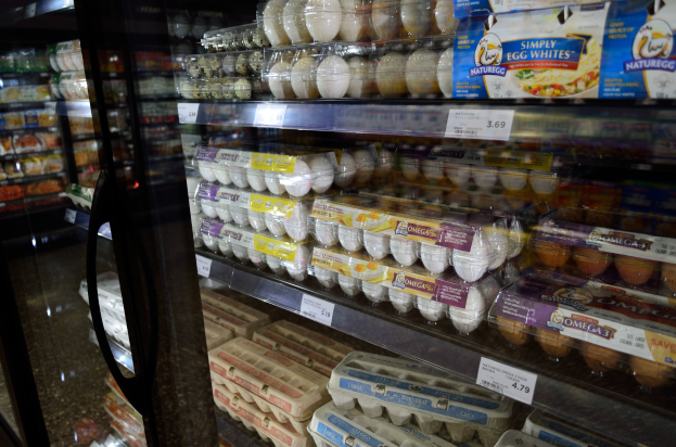 Ein Kühlregal in einem Supermarkt mit verschiedenen Eiern, jedes mit Preisschildern beschriftet, vor einem leicht unscharfen Hintergrund.
