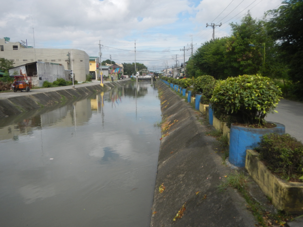 Flutstraßen in der Stadt mit Wasser auf der Straße, Fahrzeuge auf der linken Seite, Vegetation auf der rechten Seite, Gebäude und Strommasten im Hintergrund und bewölkter Himmel oben.