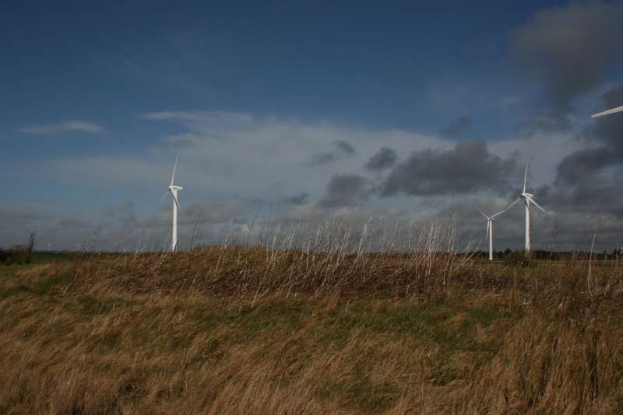 Luftaufnahme eines Windparks mit mehreren Turbinen auf einer Wiese, umgeben von Bäumen und Wolken, mit "Niederlande" unten sichtbar.