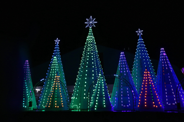 Eine Gruppe von Weihnachtsbäumen, die mit bunten Lichtern im Dunkeln leuchten und mit Sternen geschmückt sind.