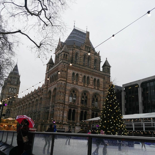 Menschen beim Eislaufen auf einer Outdoor-Eisbahn vor dem Naturkundemuseum in London, mit einem geschmückten Weihnachtsbaum und einer Person mit Schirm im Bild.