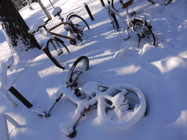 Eine Reihe von Fahrrädern, teilweise von Schnee bedeckt, neben einem Baumstamm an einer Straße geparkt.