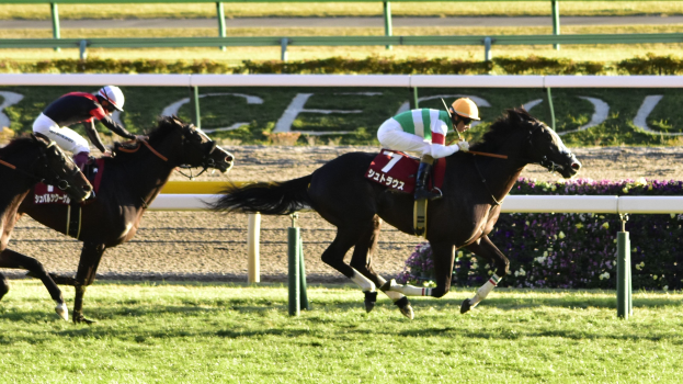 Zwei Jockeys in Helmen reiten Pferde auf einer von Grün umgebenen Bahn, im Hintergrund gibt es eine Absperrung und eine Texttafel.