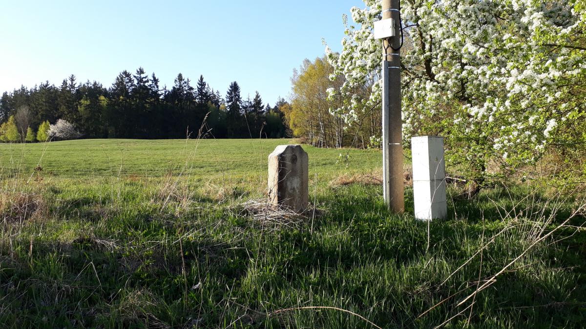 Ein grasbewachsener Platz mit einem zentralen Baum, umgeben von Bäumen unter einem klaren blauen Himmel, mit einem Pfahl und zwei Betonblöcken im Vordergrund, wahrscheinlich Teil eines Denkmals.