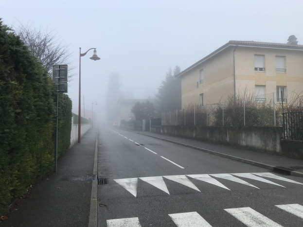Eine Straße mit Zebrastreifen, Bäumen auf der linken Seite, Gebäuden auf der rechten Seite, einem nebligen Himmel und beleuchteten Straßenlaternen im Hintergrund.