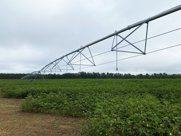 Bewässerungssystem auf einem Feld mit grünen Pflanzen und Bäumen unter einem teilweise bewölkten Himmel.