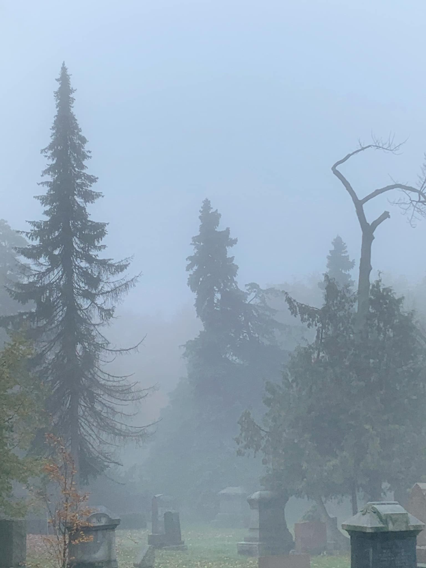 Nebeliger Friedhof mit verstreuten Grabsteinen und Bäumen im Hintergrund unter einem trüben grauen Himmel.