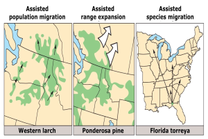 Eine Karte der Vereinigten Staaten, die verschiedene Arten von Bevölkerungswanderung hervorhebt und von begleitendem Text umgeben ist.