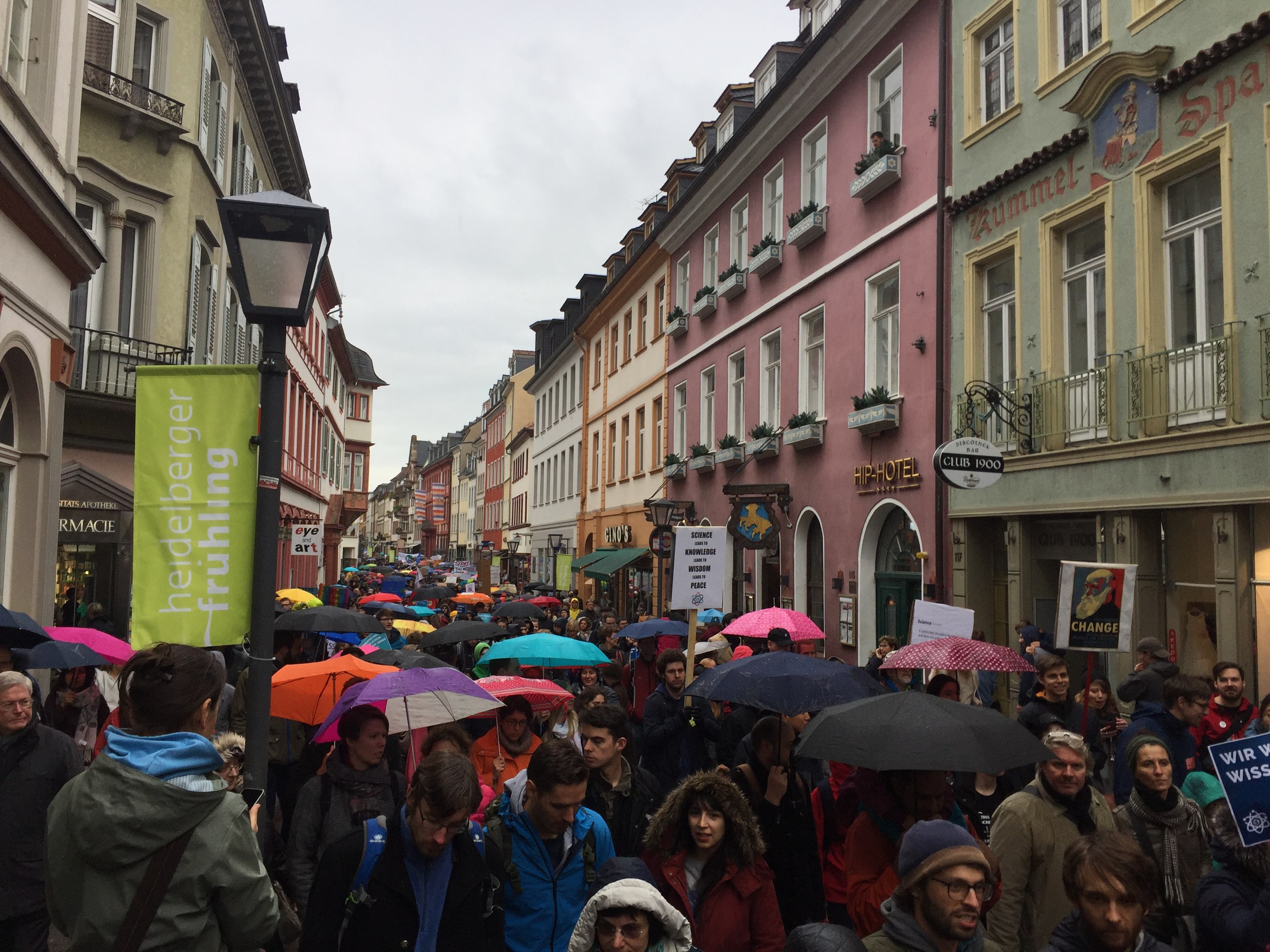 Eine große Gruppe von Menschen geht mit Schirmen auf der Straße, einige tragen Taschen und halten Schilder, während sie an einem Klimastreik in Deutschland teilnehmen.